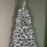 0_3_1729083729_11_7000