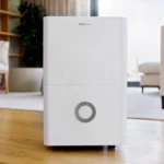 0_4_1784193145_3236