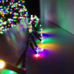 0_5_1668077968_1821
