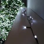 0_6_1668077459_7980