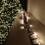 0_6_1668078023_7968