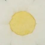 0_6_1784554698_8295