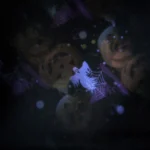 1_2_1783578835_9290