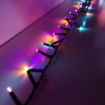 1_3_1668181508_6096