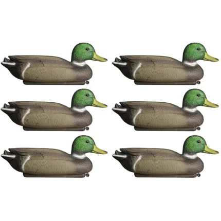 1_4_1718637038_11_5930