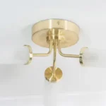 1_5_1739882118_5894