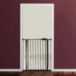 1_6_1728486565_2844