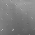 2_5_1720612754_9838