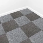 2_5_1729262145_11_6741