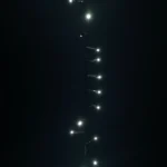 2_9_1668078140_3785