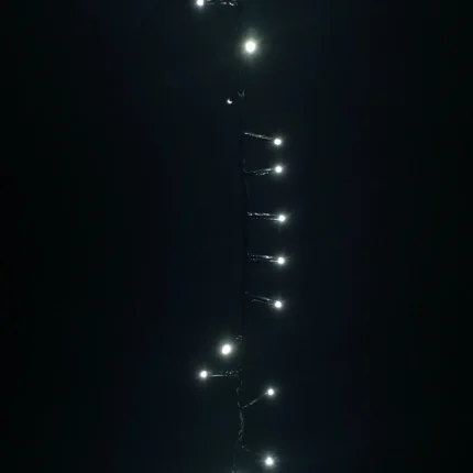 2_9_1668078140_3785