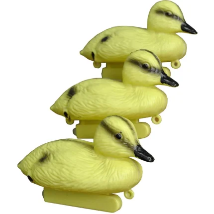 3_1_1716467216_11_8002