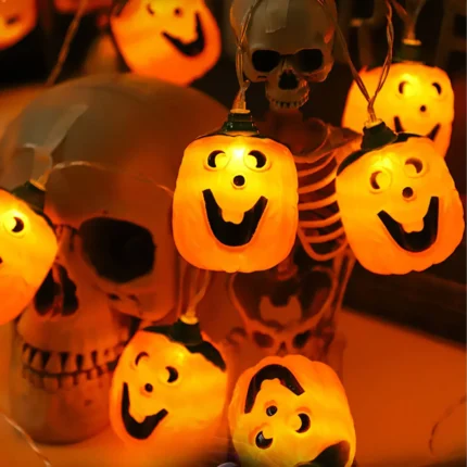 3_6_1724137516_11_3062