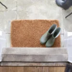 3_9_1731934245_9354