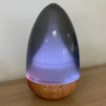 4_0_1702647350_11_9961