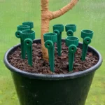 4_7_1688467385_12_6134