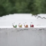 4_8_1716284697_11_9219