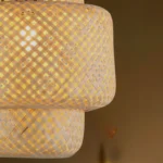 4_8_1741708624_11_4926