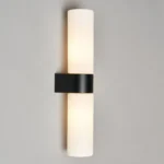 4_9_1732702447_4455