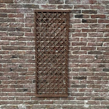 5_2_1688989616_12_5516