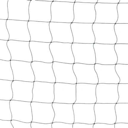 5_3_1704963431_4588