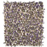 5_3_1707833384_11_9273