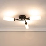5_6_1726577513_8051