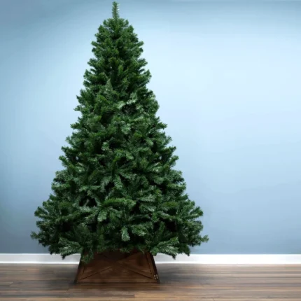 5_6_1728574966_11_3519