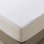 5_6_1783425395_6893