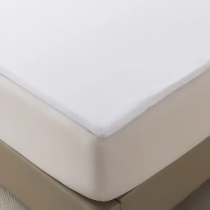 5_6_1783425395_6893