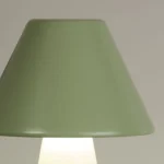 5_8_1740051243_11_6057