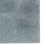 6_0_1737984146_11_8031