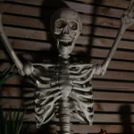 6_1_1694522767_11_3261