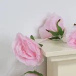 6_2_1734433971_11_8931