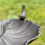 6_3_1677241208_12_8080