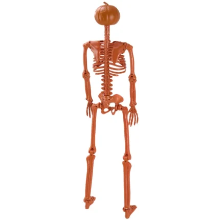 6_3_1754273570_11_9951