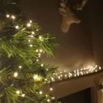 6_5_1668078026_6122