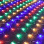 6_5_1729506695_11_4491