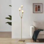 6_5_1757596906_11_1134