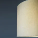 6_6_1732285200_11_8934