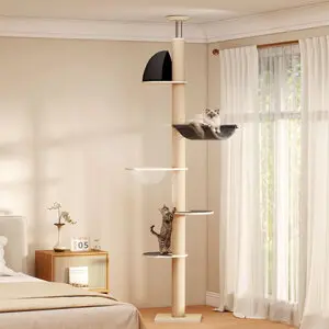6_6_1763001933_2549