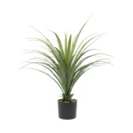 6_6_1766571392_6483