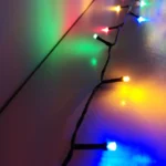 6_7_1665997602_2019