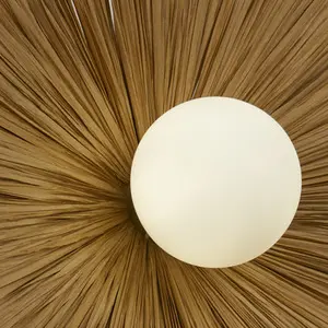 6_7_1733239470_11_6329