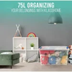 6_8_1732022268_11_8431