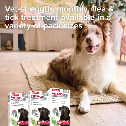 6_9_1763115697_11_5123