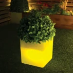 6_9_1767964245_7498
