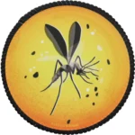 7_1_1745487110_11_3089