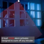 7_3_1671702802_12_1175