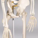 7_3_1720518528_6656